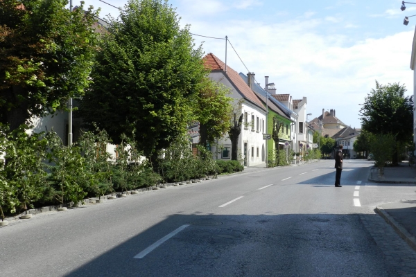 Fronleichnam_37