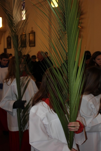 Palmsonntag_3