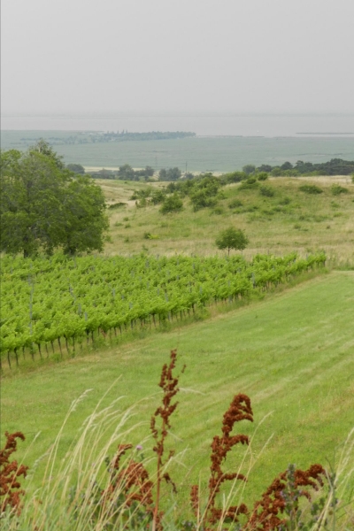 Wallfahrt Frauenkirchen_17