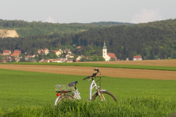 Bittgänge_32