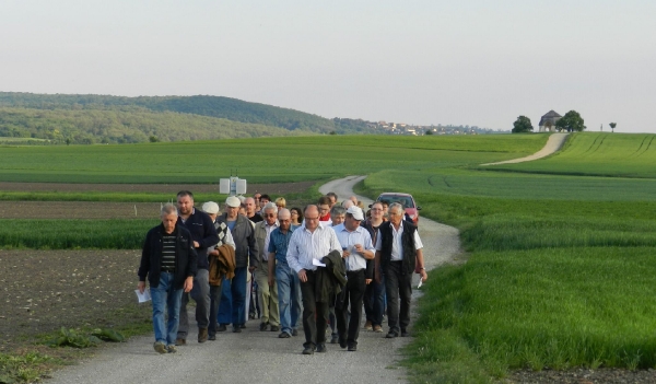 Bittgänge_20