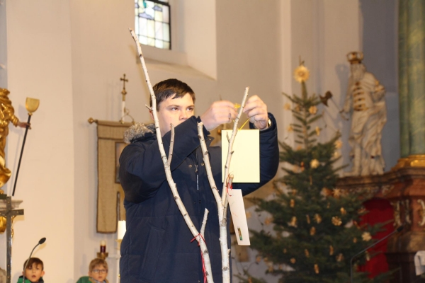 Firmlinge Vorstellung_13